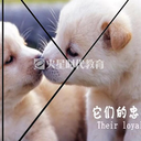 学好ps,pr,ae好找工作吗