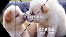 學好ps,pr,ae好找工作嗎
