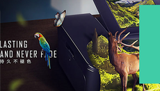 成都學平麵設計哪裏好