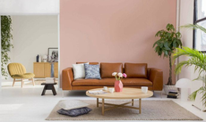 家居軟裝設計內容主要有哪些