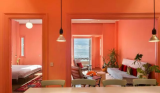 在室内设计中，年度色“活力珊瑚红”有哪些实用场景？