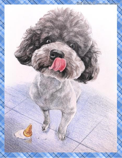 彩色铅笔画之泰迪熊犬的画法.png