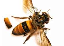 PS制作炫酷的机械蜜蜂图文教程