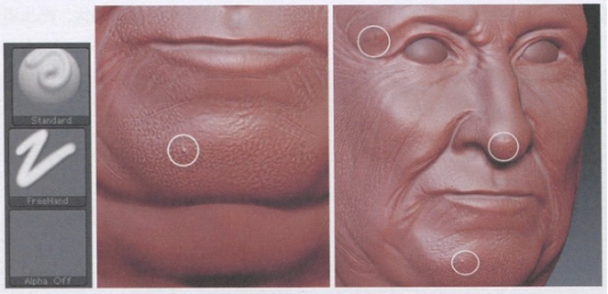 zbrush实例教程：老人头部细节刻画（三）绘制皮肤纹理