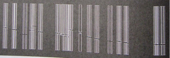 立交桥制作详细流程（七）创建立交桥支柱