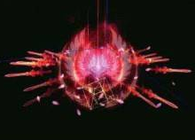 Gamebryo 3.0遊戲特效製作教程（六）絕情劍②