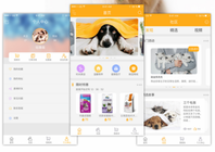 煙台ui培訓在哪裏學比較好？學費多少