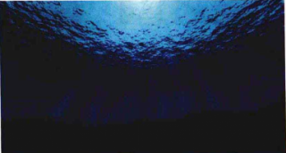 vu深海效果制作教程（五）添加海底灯光