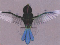 飞行角色绑定技术之模型整体绑定（一）