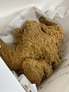 1908郑州剪包 班会 吃鸡活动