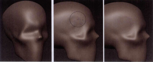 Mudbox雕刻工具使用教程——头骨雕刻实例（一）