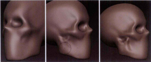 Mudbox雕刻工具使用教程——头骨雕刻实例（二）