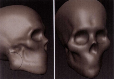 Mudbox雕刻工具使用教程——头骨雕刻实例（二）