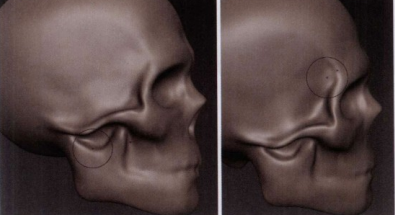 Mudbox雕刻工具使用教程——头骨雕刻实例（三）