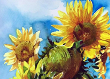 传统美术之水彩向日葵绘制图文教程