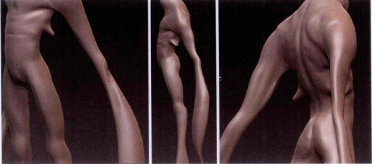 细致雕刻生物角色模型教程：身体雕刻