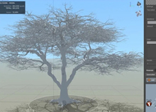 SpeedTree Cinema v8.4合金欢树制作（下）