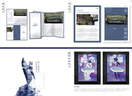 火星時代平麵設計能安排工作嗎