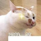 如何選擇合適的平麵設計學習學校