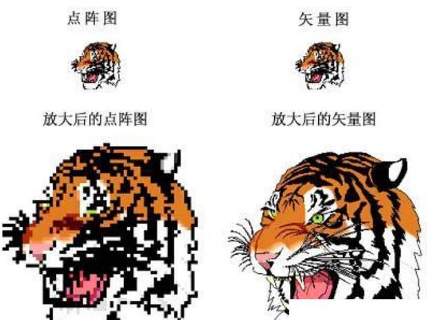 ps插画与AI插画的区别