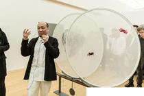 探索遊戲動畫行業：就業前景與培訓路徑