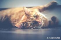 剛畢業的大學生，這麼找工作比較快！