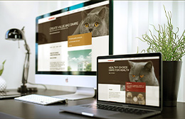 企业网站交互式设计