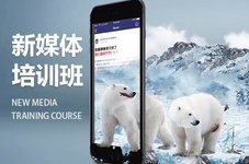 新界新媒体培训