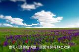 什么是視頻特效制作?#合成