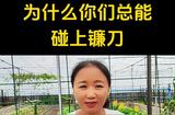 學(xué)短視頻如何不被坑，如何學(xué)到正確的知識#上熱門