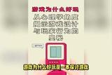 游戲樂趣探索：揭秘游戲設(shè)計(jì)中的心理學(xué)奧秘