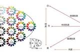 軟裝設(shè)計會員課的學(xué)習(xí)步驟