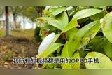 如何讓你的視頻拍的更清晰，更有看點，學會了這幾個小技巧