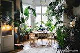 室內(nèi)植物養(yǎng)護搭配技巧，打造出花園感覺