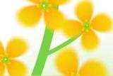 平面設(shè)計需要學(xué)什么軟件呢?跟老學(xué)長一起玩轉(zhuǎn)ps吧#ps基礎(chǔ)
