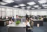 電商運營和電商美工的區(qū)別是什么?東莞電商培訓金哥詳細分析!