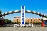 影視動(dòng)畫主要學(xué)什么