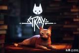 借助這個(gè)MOD，貓咪冒險(xiǎn)游戲《Stray》可以實(shí)現(xiàn)多人合作模式