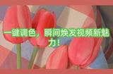一鍵調(diào)色，瞬間煥發(fā)視頻新魅力!