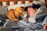 AI 改變世界#ai生成短視頻