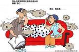 為什么都是用綠色環(huán)保材料裝修的房子怎么還有污染呢?