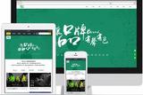 品牌網(wǎng)站設(shè)計—導(dǎo)航欄與首頁設(shè)計