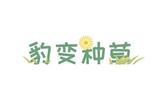 高效SEO營銷優(yōu)化軟件-AI助你快速打造品牌知名度