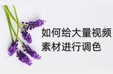 如何給大量視頻素材進(jìn)行調(diào)色