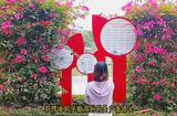 好看的風(fēng)景，教你配上合適的音樂(lè)，拍攝剪輯全過(guò)程