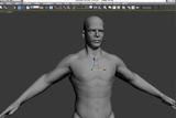 3dmax制作醫(yī)學(xué)動畫半透明人體材質(zhì)——衰減貼圖的運用