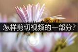 怎樣剪切視頻的一部分?不如看看這幾種方法