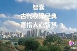 如何用AI技術(shù)制作視頻一天賺取800元？火星時(shí)代教育揭秘