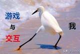 游戲交互機(jī)制探究:是什么影響了游戲的流暢度?