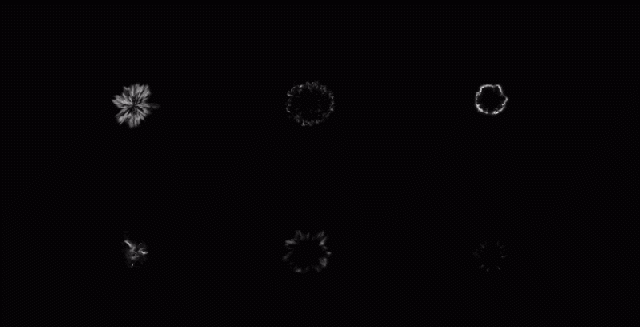 Shock Waves